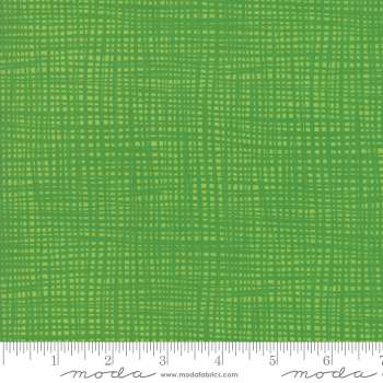 Later Alligator 17966-25 by Sandy Gervais for Moda Fabrics - Patchwork & Quilting Fabric