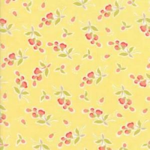 Coney Island 20282-14 - Patchwork Quilting Fabric