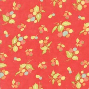 Coney Island 20286-12 - Patchwork Quilting Fabric