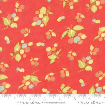 Coney Island 20286-12 by Figtree & Co for Moda Fabrics Applique, patchwork and quilting fabric.