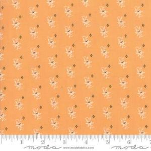 All Hallow's Eve 20352-11 - Patchwork Quilting Fabric
