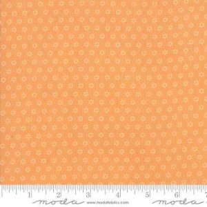 All Hallow's Eve 20354-11 - Patchwork Quilting Fabric