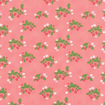 Gooseberry 5011-12 - Vanessa Goertzen -  patchwork Fabric