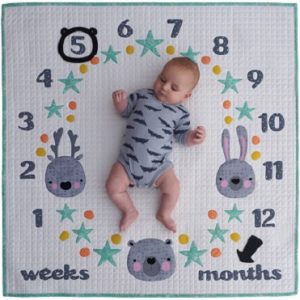 Milestone Memories - by Melly & Me - Quilt Pattern