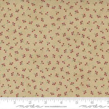 Poinsettia Plaza 44298-13

by 3 Sisters for Moda Fabrics

Applique, patchwork and quilting fabric