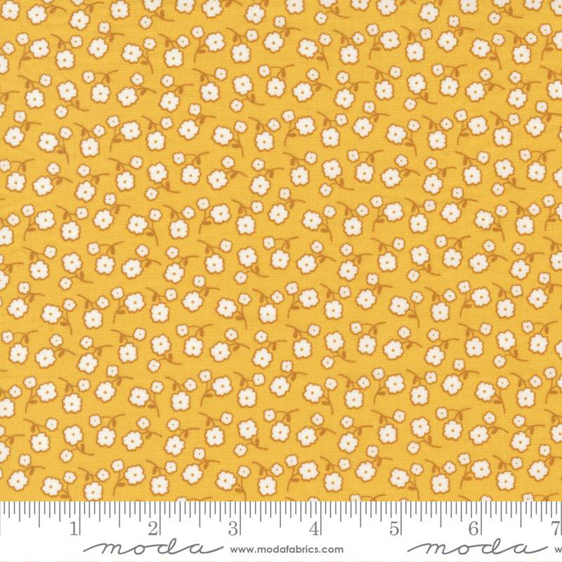 Zinnia 24134-19

by April Rosenthal for Prairie Grass Quilts  for Moda Fabrics

Applique, patchwork and quilting fabric