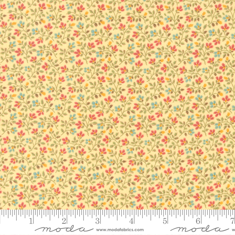 Dinah's Delight 31676-14

Fabric Collection by Betsy Chutchian for Moda Fabrics

Applique, patchwork and quilting fabric.