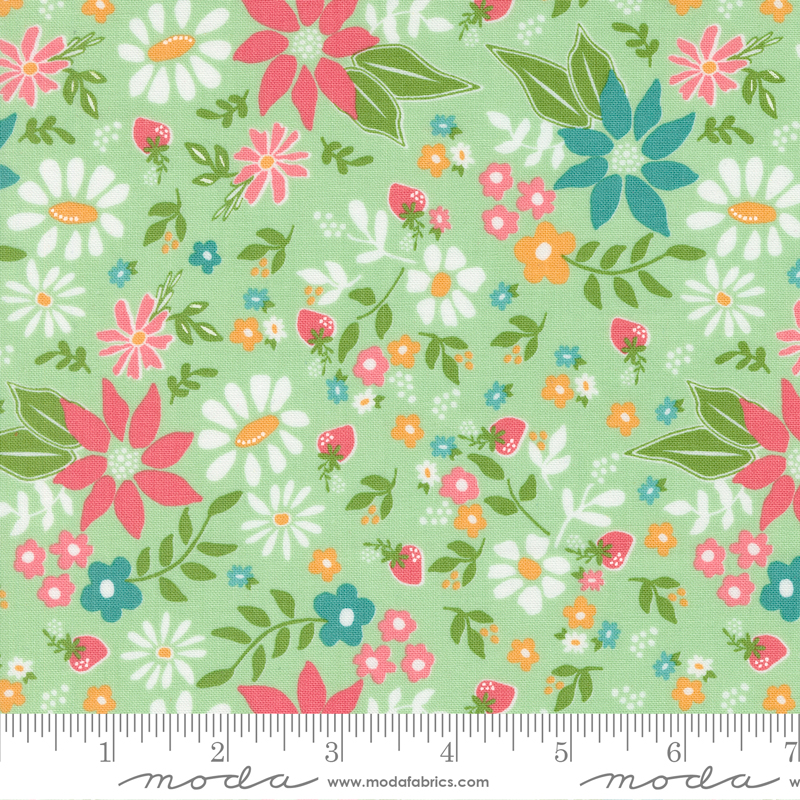 Strawberry Lemonade 37670-17

Fabric Collection by Sherri & Chelsi for Moda Fabrics

Applique, patchwork and quilting fabric.