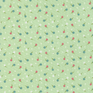 Strawberry Lemonade 37674-171 Fabric Collection by Sherri & Chelsi for Moda Fabrics Applique, patchwork and quilting fabric.