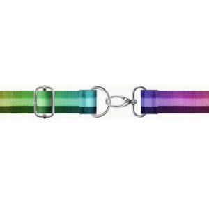 D Clip, Slide and Swivel Hook set (3pce)