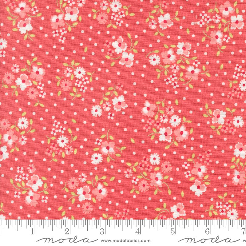 Cali & Co 29190-12

by Corey Yoder of Coriander Quilts for Moda Fabrics