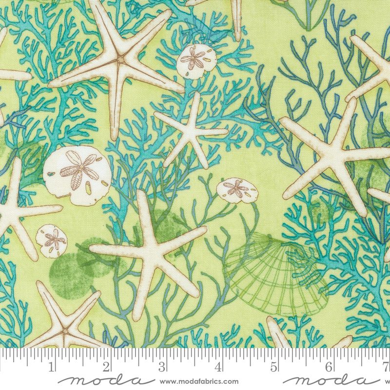 Serena Shores 48771-25

by Robin Pickens for Moda Fabrics

Applique, patchwork and quilting fabric