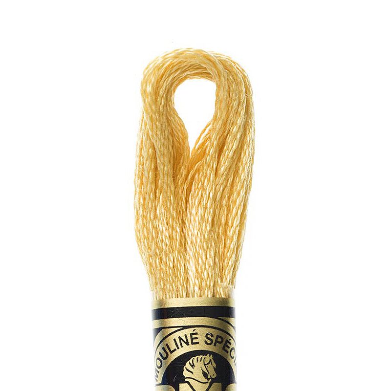 DMC  676 Light Old Gold Stranded Embroidery Thread

Embroidery Thread by DMC Threads