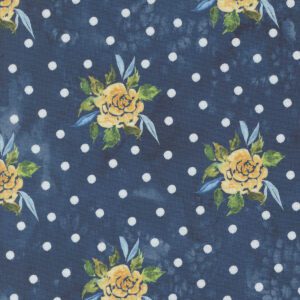 Sunshine & Blue Skies 39821-13 by Create Joy Project for Moda Fabrics Applique, patchwork and quilting fabric. 