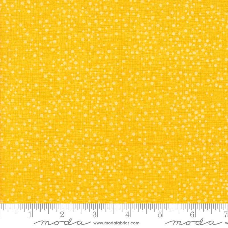 Dotty Thatched 48715-227

by Robin Pickens for Moda Fabrics

Applique, patchwork and quilting fabric