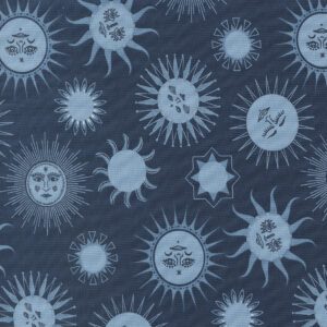 Starry Sky 24161-17 by April Rosenthal for Prairie Grass Quilts  for Moda Fabrics Applique, patchwork and quilting fabric.