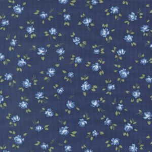 Blueprint 55331-36 by Camille Roskelly for Moda Fabrics Applique, patchwork and quilting fabric.