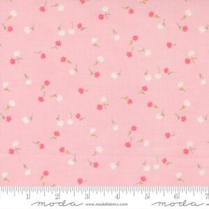 Kindness 56154-16 Fabric Collection by Deb Strain for Moda Fabrics Applique, patchwork and quilting fabric.